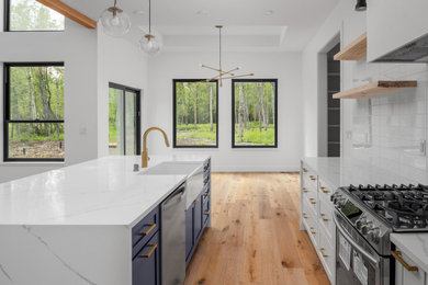 Example of a kitchen design in Other