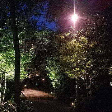 Outdoor L.E.D. Tree Lighting Project For Driveway