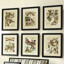 artwork, framed