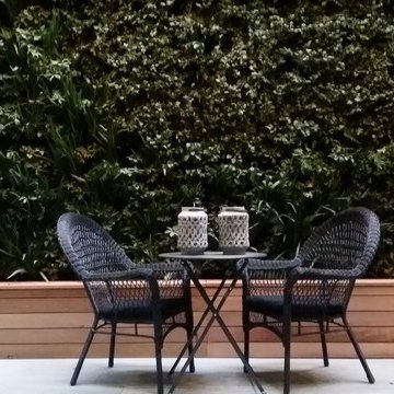 Domestic Living Wall Projects
