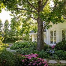 Garden Ideas