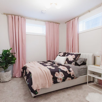 Wascana Basement Revamp