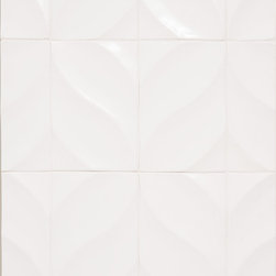 Stellar Dahlia - Products