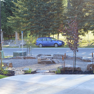 New yard Design