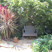Griff’s Backyard