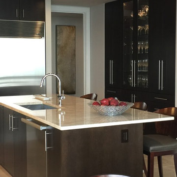 Chicago Luxury High Rise
