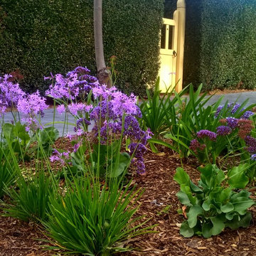 Verge Garden, Hawthorn