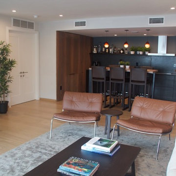 Brickell Apartment