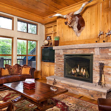 Gas Fireplaces