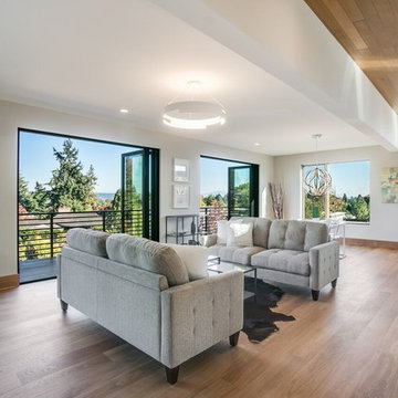 View Ridge Modern