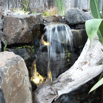 Noel and Nancy's Pond Makeover Little falls from wetland