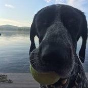 Robert Compton's photo