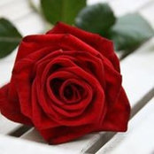 Dawn Jonovich's photo