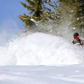 Patrick White's photo