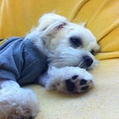 Lucy Lus foto