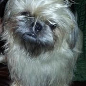 Debra Kinem's photo