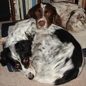 Christine Seyforth Larmand's photo