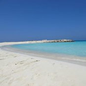 Nessrin Shafik's photo