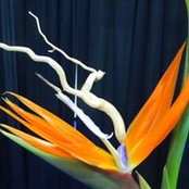 Lee Jensen's photo