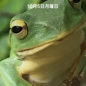 Foto von Haruo Tanabe