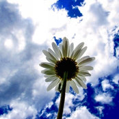 Rosalba Moores's photo