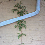 Stephen Darman's photo