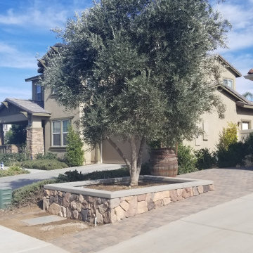 Front Yard in Morningstar Ranch - Winchester