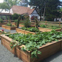 Vegetable garden