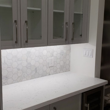 First Floor Gut and Kitchen renovation project
