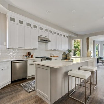 Chicago Home Remodel
