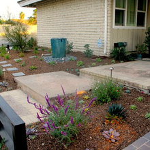 Front yard
