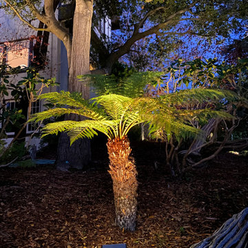 Berkley Hills lighting project