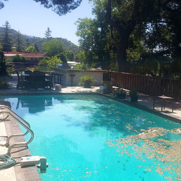 Backyard Renovation | La Crescenta