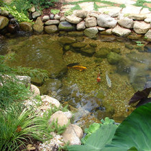 Waterfall Guests Entrance