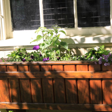 Seasonal Container Plantings & Changeovers