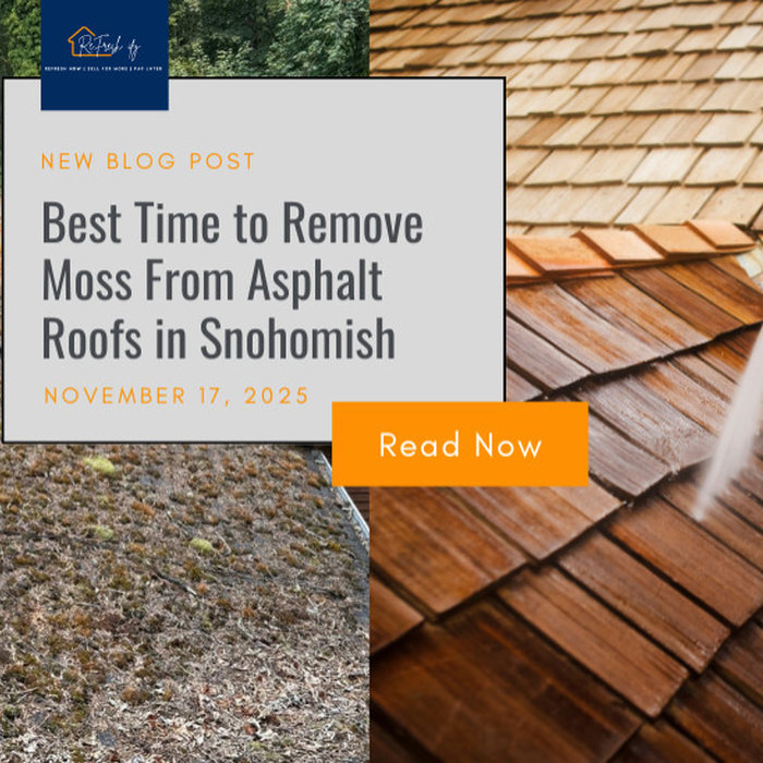 Best Time to Remove Moss From Asphalt Roofs in Snohomish
