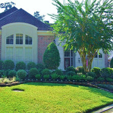 Front yard