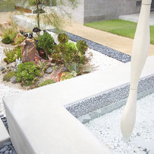 Landscape Ideas