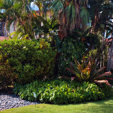 Landscape Designs