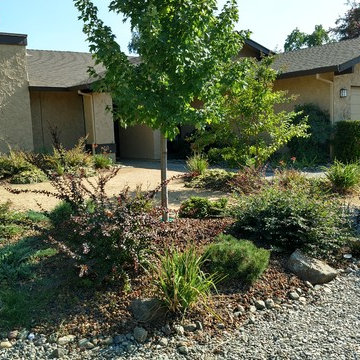 Drought Resistant Yards