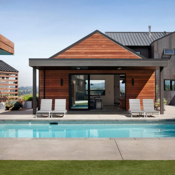 Modern Remodel
