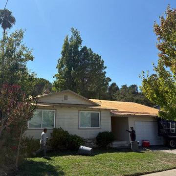 Complete Roof Replacement and Plywood Sheathing at Lakeside Dr., Corte Madera
