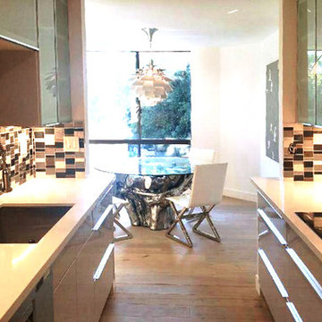 Glass Door Wall Cabinet and Chrome HG Base Cabinet