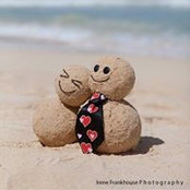 Lisa McMillen's photo