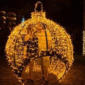Tanya Mitkovetsky's photo