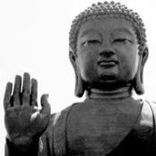 Guillaume Langlois's photo