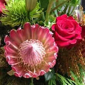 Marilyn Millet's photo