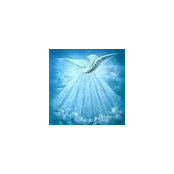 Debbie Pentecost Batey's photo
