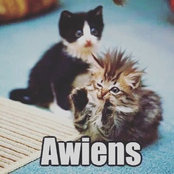 Aimee c's photo