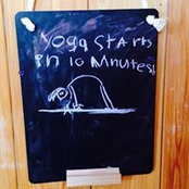 Mollie Doyle's photo